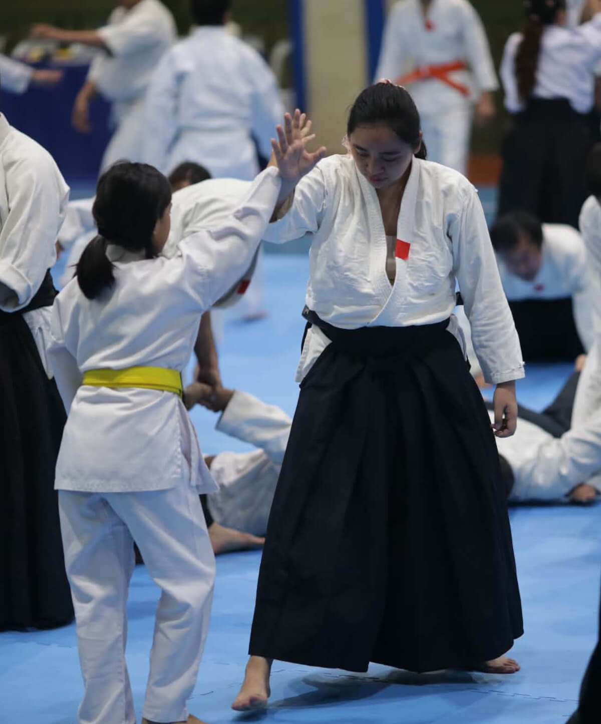 K.K. Leonardo, 1st Dan Aikikai